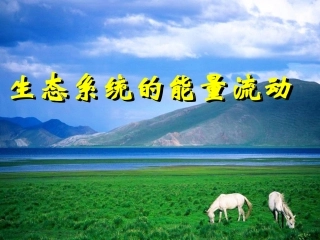 第五章第2节生态系统的能量流动