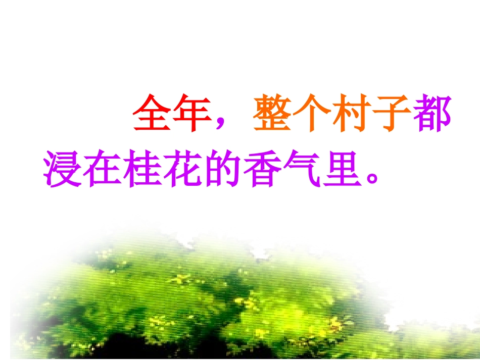 7.桂花雨修改1_第3页
