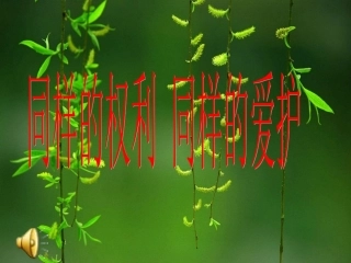 3.2《同样的权利-同样的爱护》