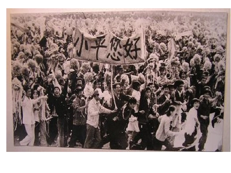 社会主义初级阶段_第3页