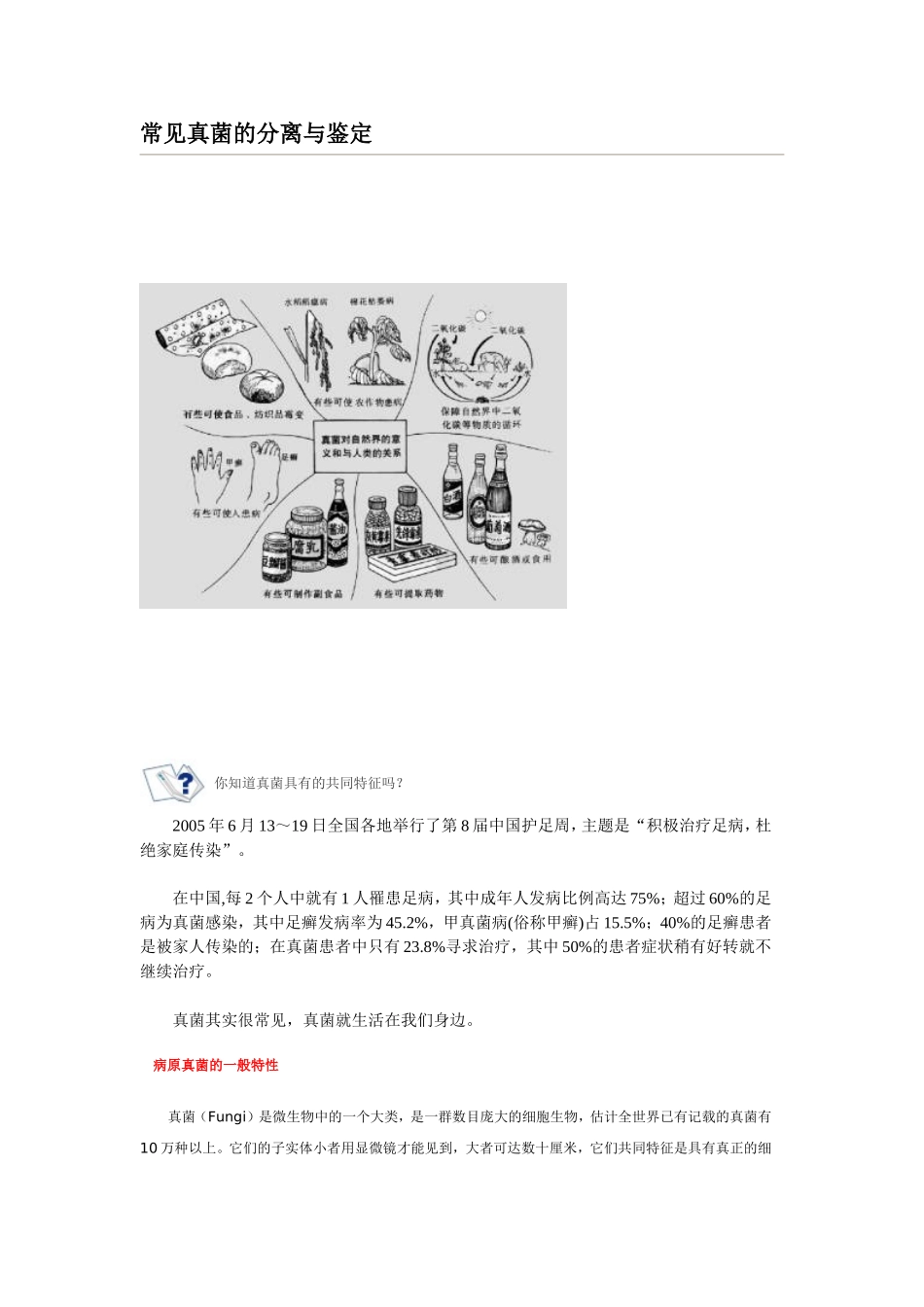 常见真菌的分离与鉴定_第1页