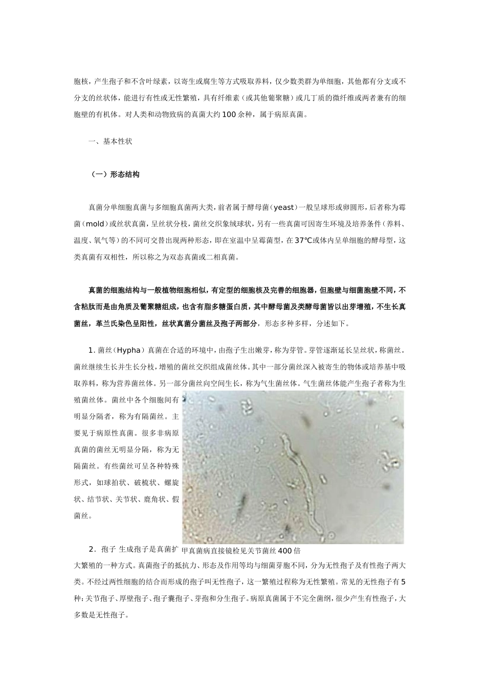 常见真菌的分离与鉴定_第2页