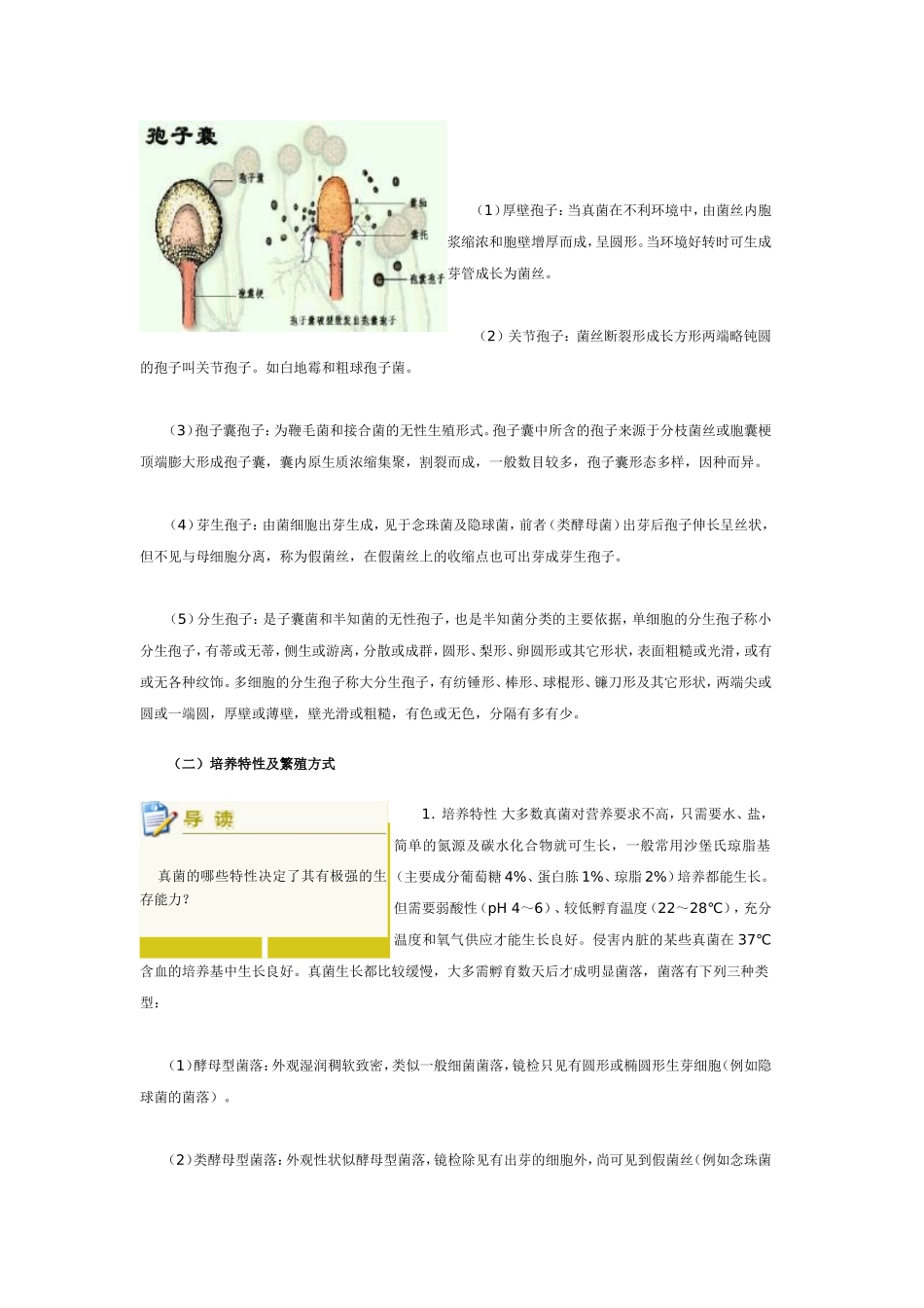 常见真菌的分离与鉴定_第3页