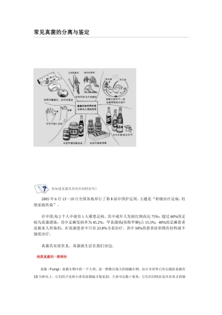 常见真菌的分离与鉴定