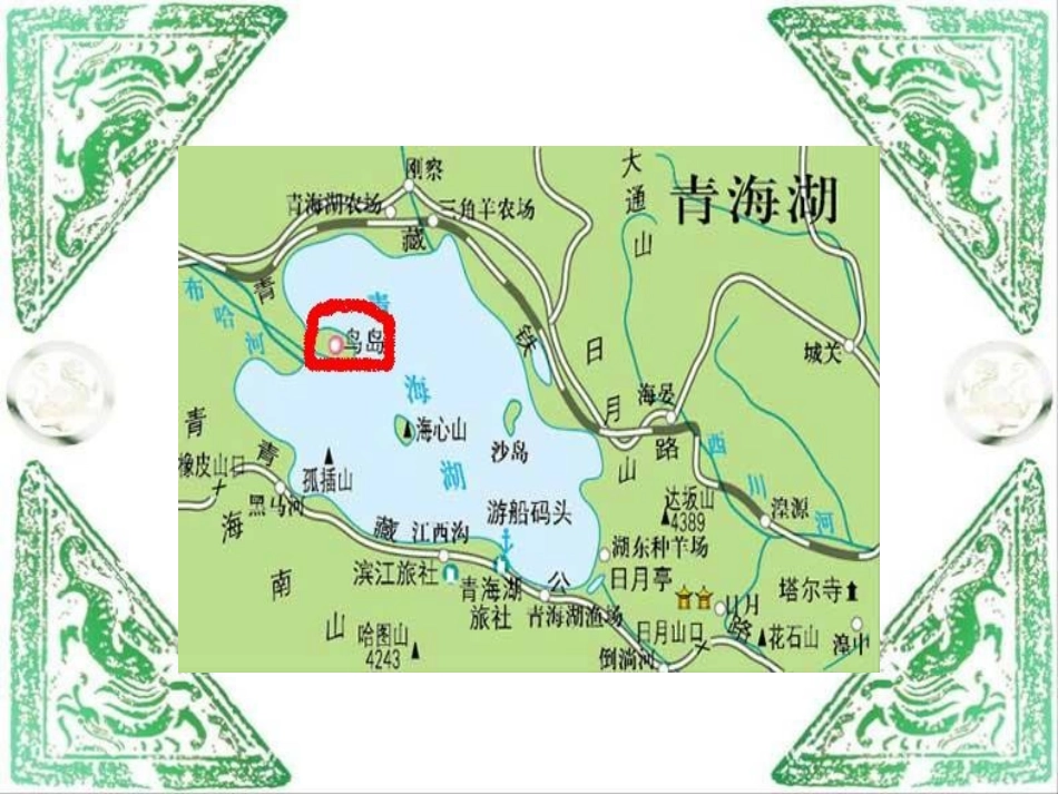 二年级语文下册《鸟岛》_第3页