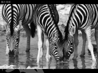 线描画中的黑白对比最后