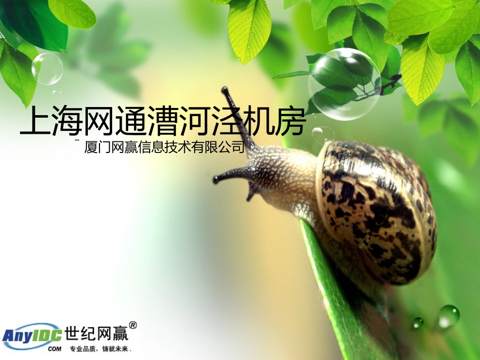上海网通漕河泾机房_第1页