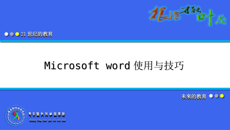 Microsfot-Word讲课资料_第1页