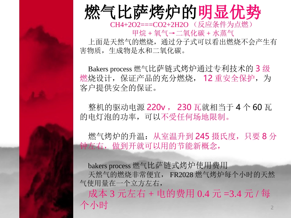 燃气比萨烤炉、披萨烤炉、匹萨烤炉产品资料_第2页