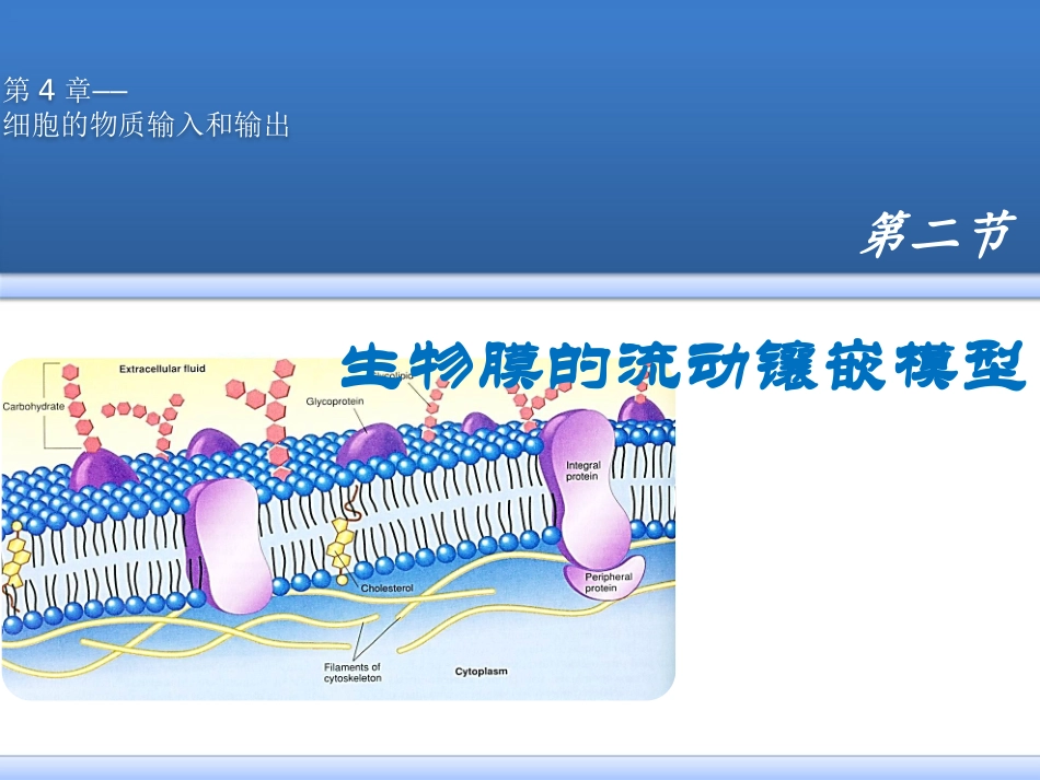 第四章 细胞膜的流动镶嵌模型_第2页
