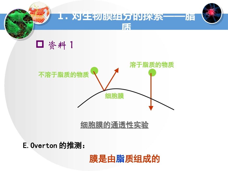 第四章 细胞膜的流动镶嵌模型_第3页