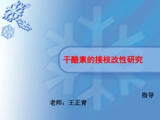 干酪素的改性接枝
