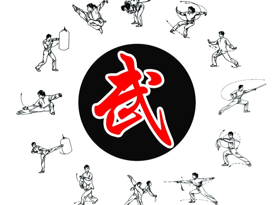 武术的基本手型与步法_第1页