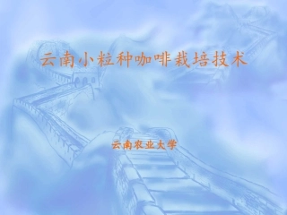 云南小粒种咖啡栽培技术