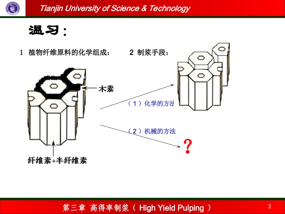 高得率制浆概述_第2页