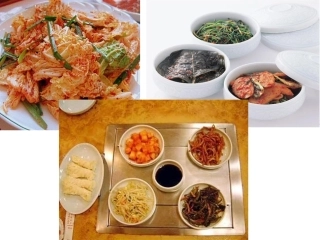 1.3《制作泡菜并检测亚硝酸盐含量》-课件-林秋凤