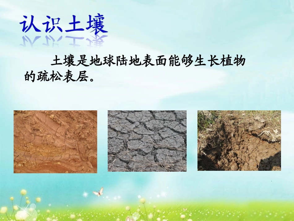 本地的土壤教学课件_第3页
