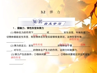 高一物理弹力课件