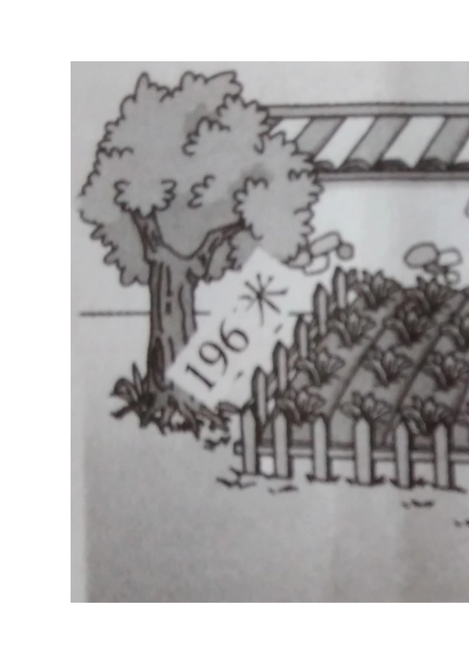 人教2011版小学数学三年级万以内的加法和减法(二)-《解决问题》_第2页