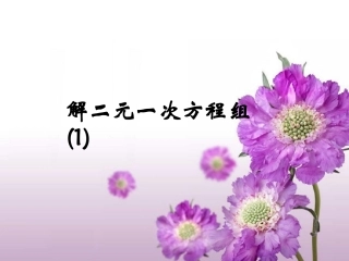 解二元一次方程组(1)