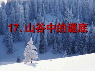 山谷中的谜底