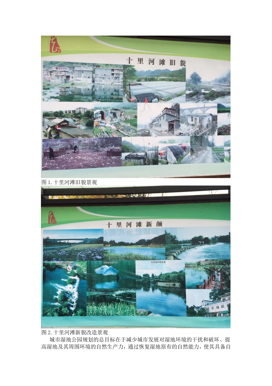 花溪湿地公园湿地游赏区至花圃展示区一段景观质量分析_第3页