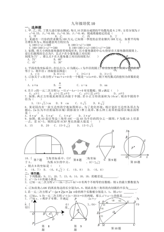 九年级上培优试卷10
