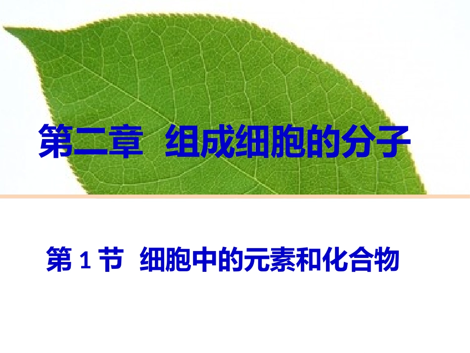 细胞中的元素和化合物(人教版必修1)-1_第1页