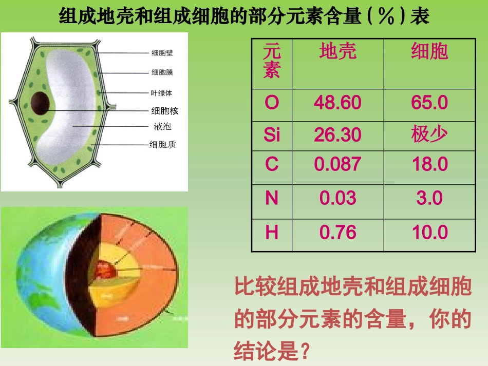 细胞中的元素和化合物(人教版必修1)-1_第3页