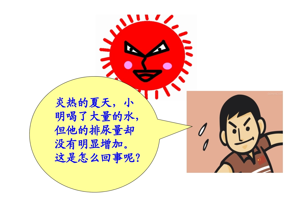 《第二节-汗液的形成和排出》课件4_第1页