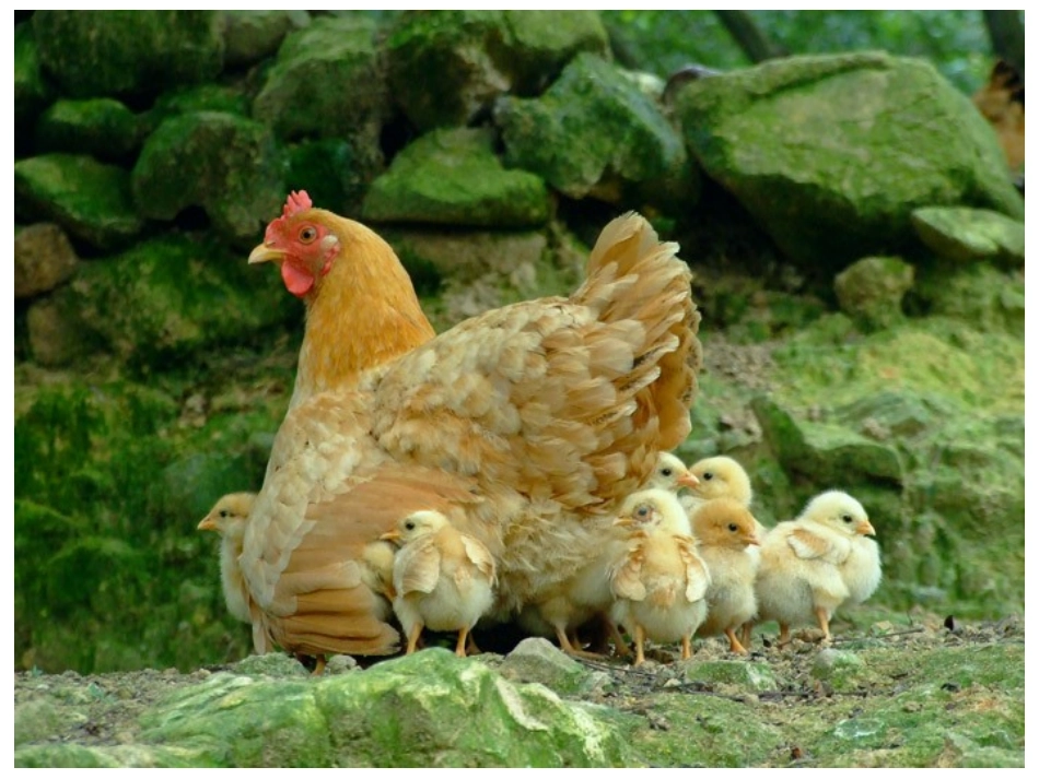 《和妈妈在一起》._第1页