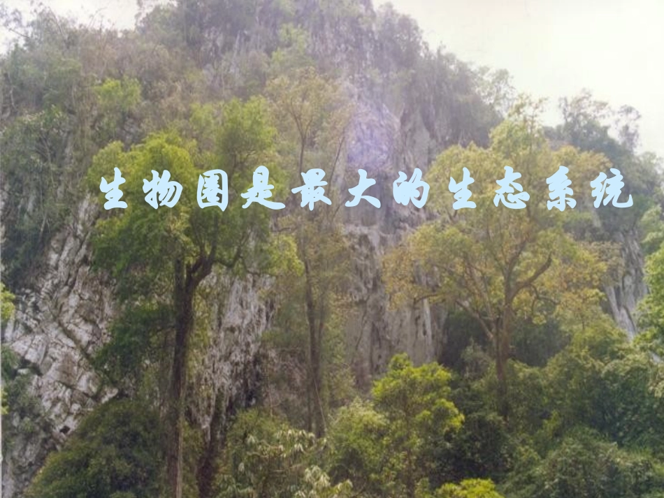 生物：第一单元第二章第三节生物圈是最大的生态系统课件(人教版七年级上)_第1页