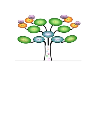 《小壁虎借尾巴》知识树-(2)