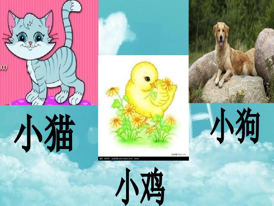幼儿园快乐成长课程——《我喜欢》课件_第1页