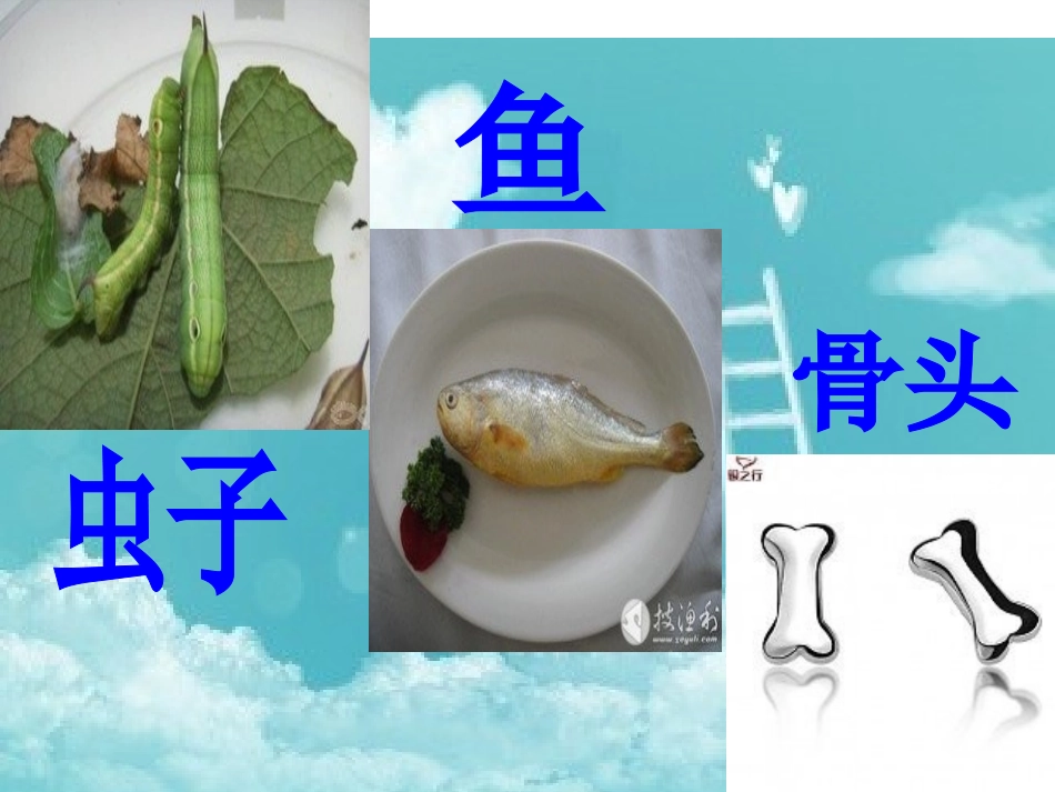 幼儿园快乐成长课程——《我喜欢》课件_第2页