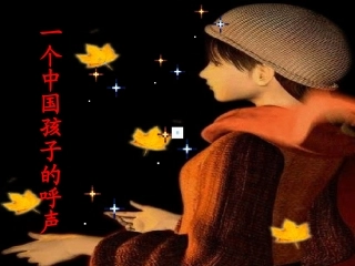 《一个中国孩子的呼声》课件