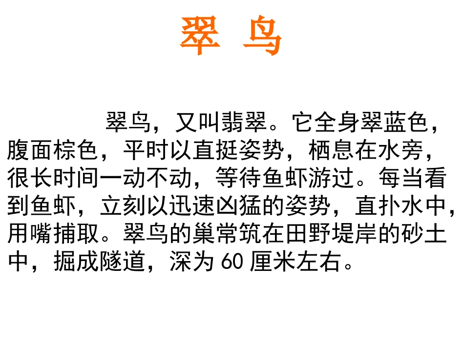 《翠鸟》讲课ppt_第2页