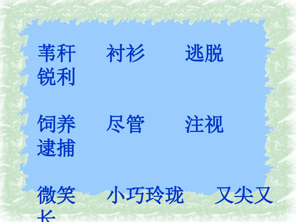 《翠鸟》讲课ppt_第3页