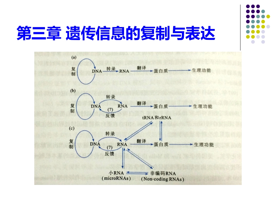 第三章  DNA双螺旋结构_第1页