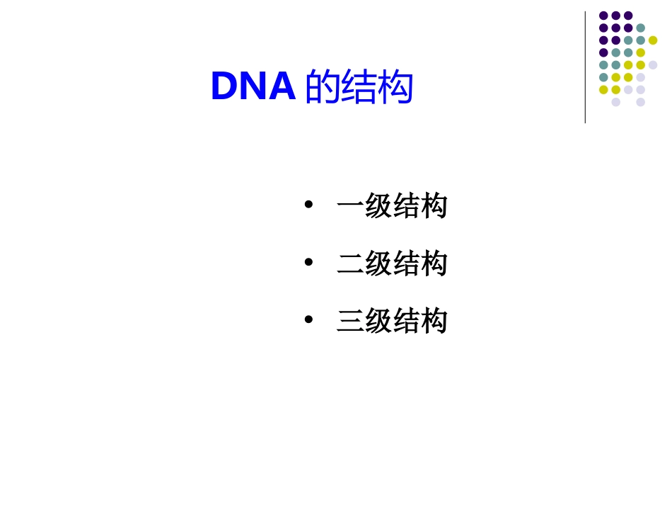 第三章  DNA双螺旋结构_第2页