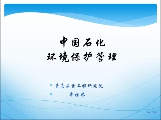 中石化环保管理(201210.31)