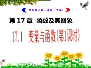 17.1--变量与-函数
