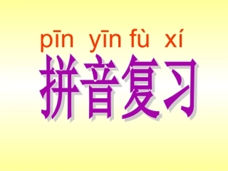 一年级拼音复习重点[1]