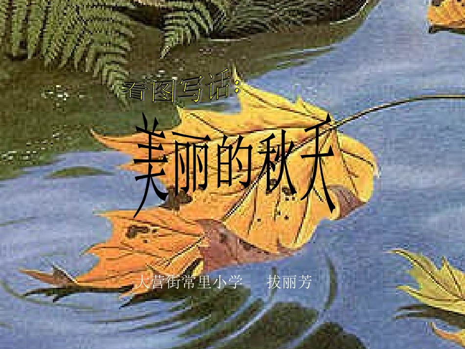 美丽的秋天课件_第1页