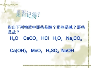 新人教版----生活中常见的盐