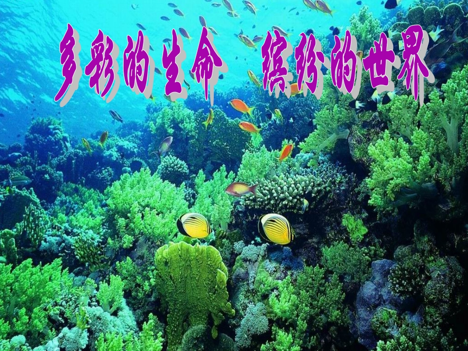 《美丽的生命》课件2_第2页