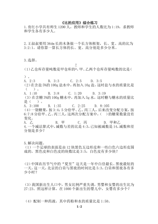 《比的应用》综合练习