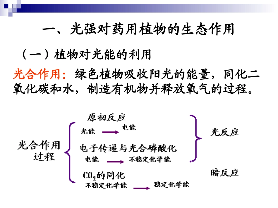 药用植物与光_第3页