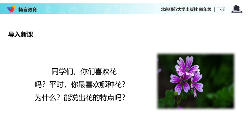 种一片太阳花课文讲解_第2页