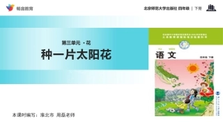 种一片太阳花课文讲解